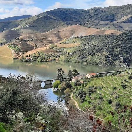 Quinta Da Ferradosa Wines Guest House São João da Pesqueira Eksteriør bilde