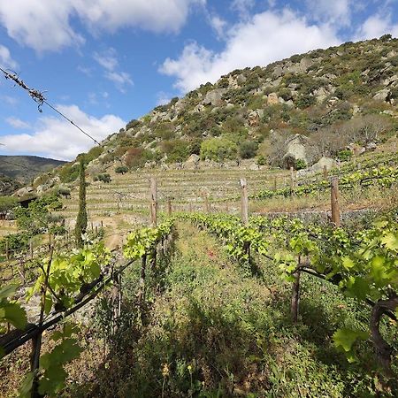 Quinta Da Ferradosa Wines Guest House São João da Pesqueira Eksteriør bilde