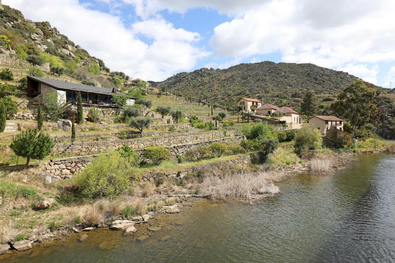 Quinta Da Ferradosa Wines Guest House São João da Pesqueira Eksteriør bilde
