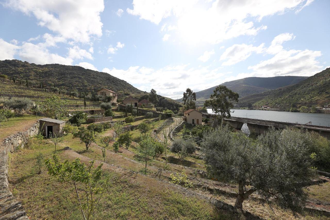 Quinta Da Ferradosa Wines Guest House São João da Pesqueira Eksteriør bilde