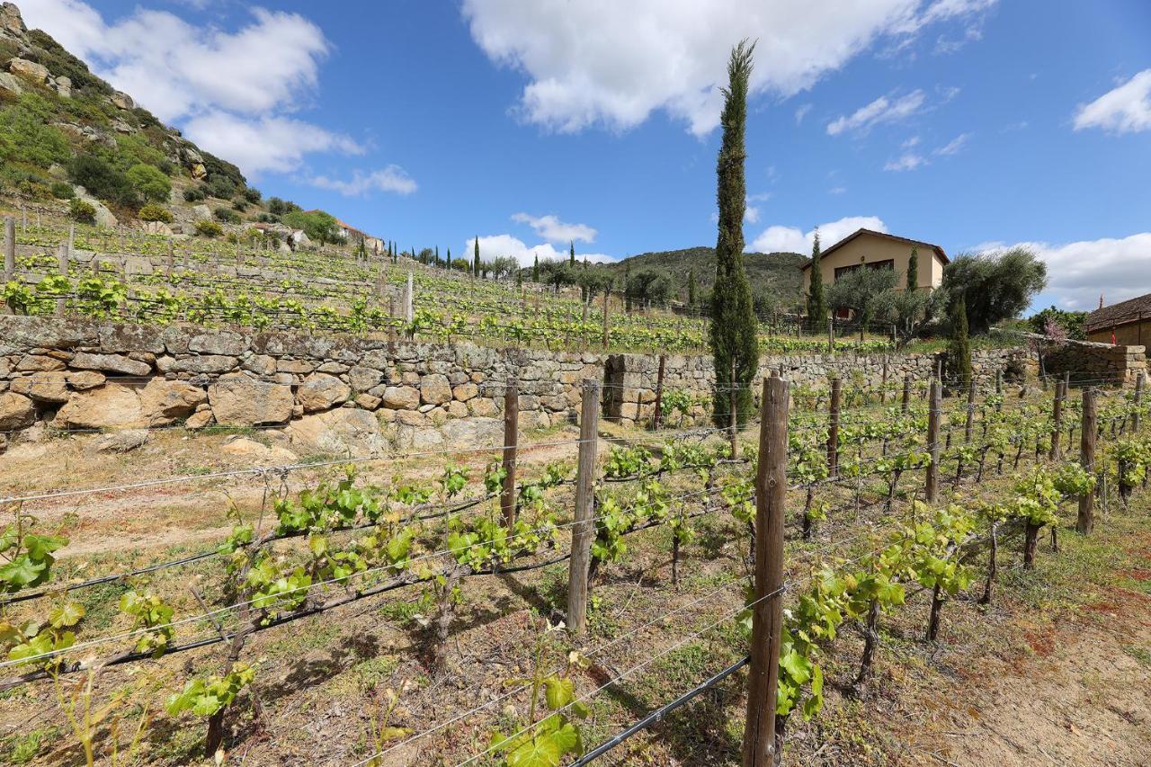 Quinta Da Ferradosa Wines Guest House São João da Pesqueira Eksteriør bilde